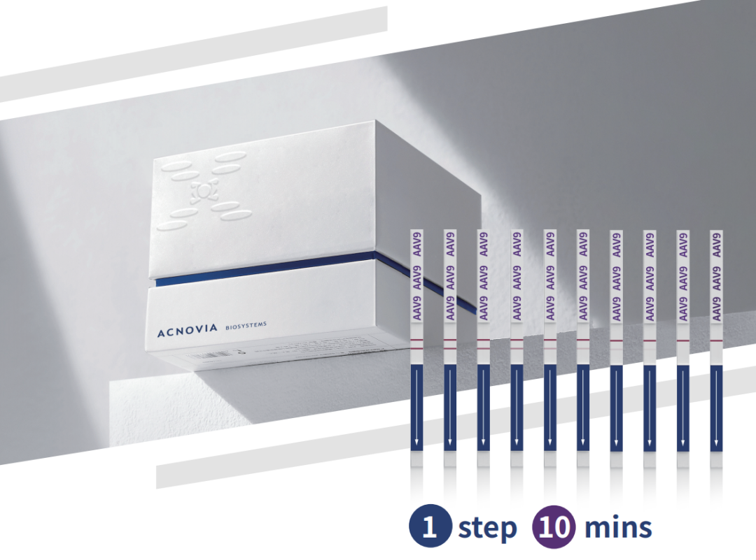 【震撼來(lái)襲】10 mins AAV病毒快速檢測(cè)試紙