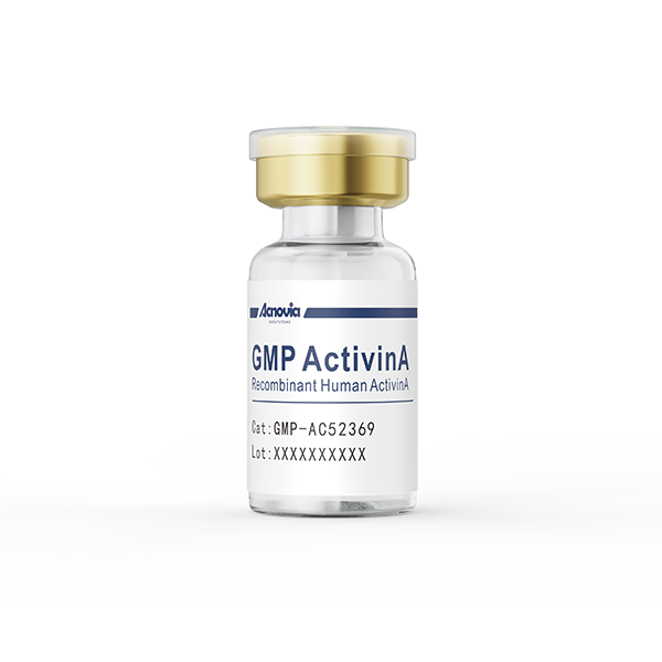 GMP- ActivinA（GMP-AC52369）