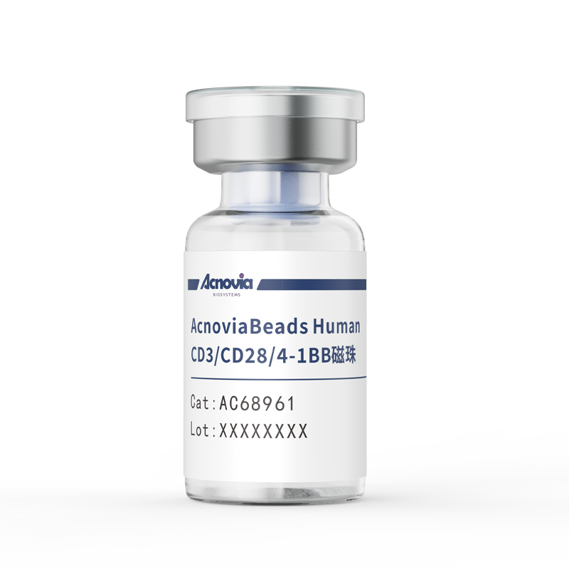 AcnoviaBeads Human T-Acticator CD3/CD28/4-1BB磁珠（AC68961）