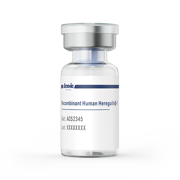  Recombinant Human Heregulinβ-1（AC52345）