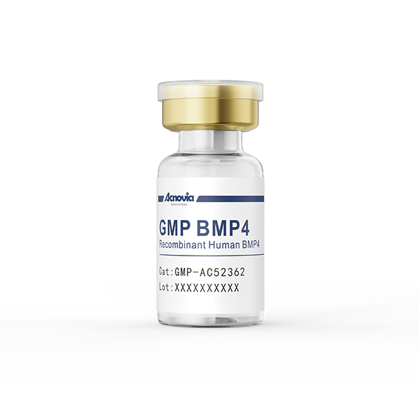 GMP-BMP4（GMP-AC52362）