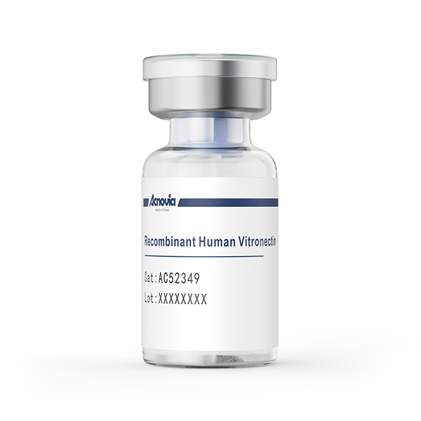  Recombinant Human Vitronectin（AC52349）