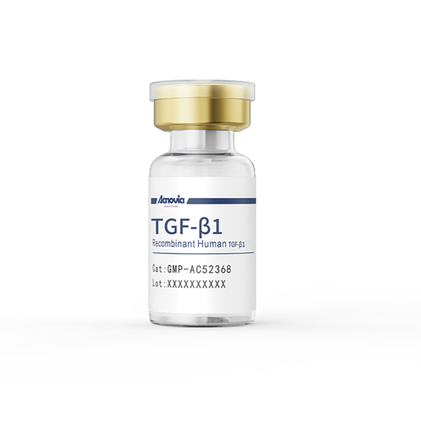 GMP-TGF-β1（GMP-AC52368）