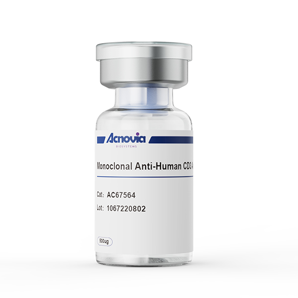 anti-CD3（AC67564）