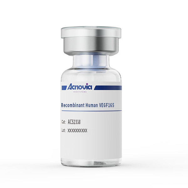 Recombinant Human VEGF165（AC52338）