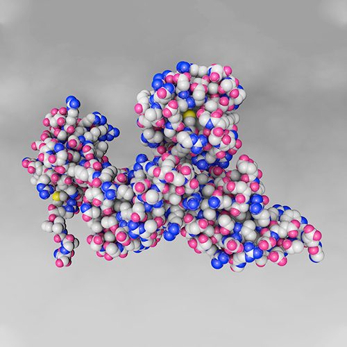 重組蛋白表達(dá)