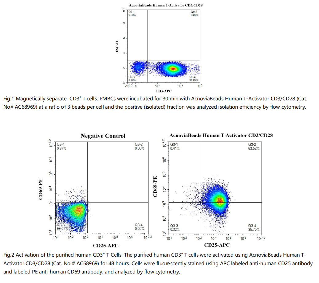 6383021268232809836829680.png 6383021268232809836829680.png